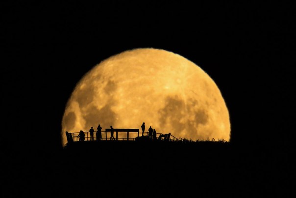 Силуэты на фоне восходящей Луны