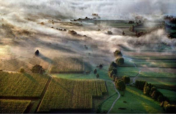 Туман над полями Словении
