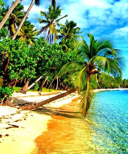 Побережье Сент-Люсии - островного государства, расположенного в Карибском море.