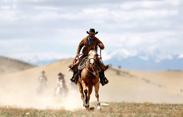 Погонщик Шэд Бордман едет на пастбище во время перегона лошадей в штате Монтана, США. 