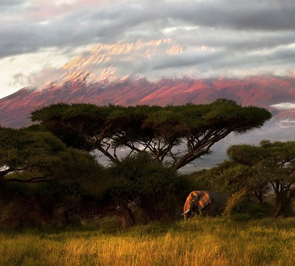 Национальный парк Амбосели находится в области Лоитокиток, провинции Рифт-Валли в юго-восточной части Кении.