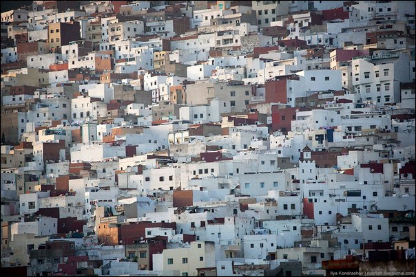 Марокко. Древний Фес
