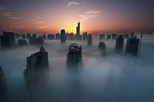 "Дубай в тумане", ОАЭ.