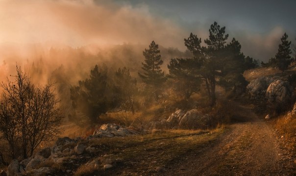 В туманах плато Ай-Петри, Крым.