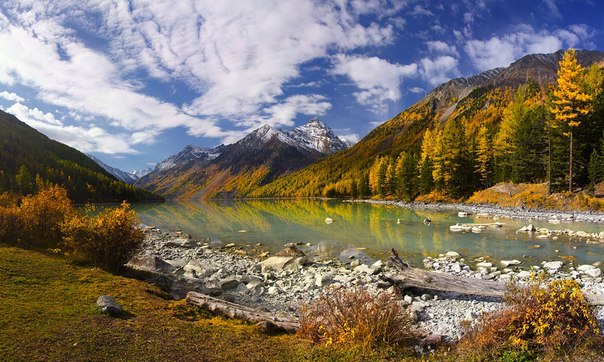 Кучерлинское озеро  — озеро в Алтайских горах. Расположено у подножия северного склона Катунского хребта в верховьях реки Кучерла.