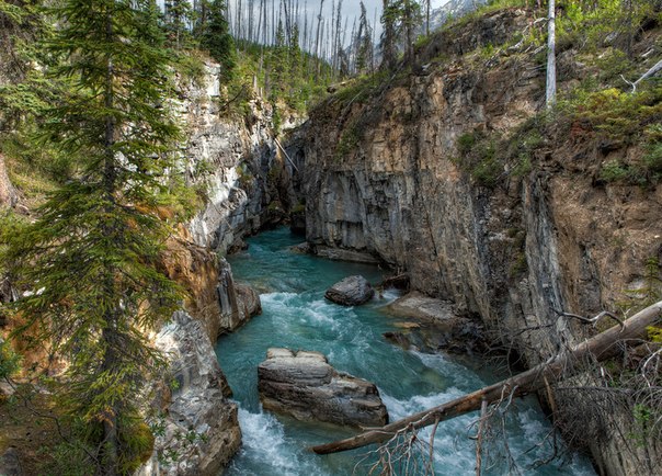 Национальный парк Кутеней — национальный парк Канады, расположенный на юго-востоке канадской провинции Британская Колумбия. Природное разнообразие отражает девиз парка «От кактусов к ледникам».