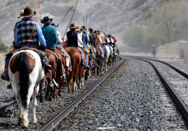 Ковбои выстроились вдоль железных путей во время ежегодного перегона лошадей в штате Монтана, США. 
