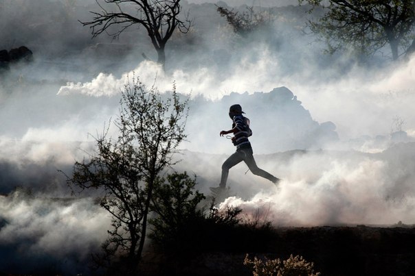 Палестинский демонстрант бежит в облаке слезоточивого газа во время столкновений на акции протеста против боевых действий Израиля в секторе Газа недалеко от города Рамалла на Западном берегу реки Иордан.