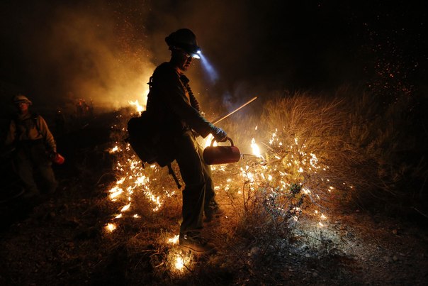 Пожарный разжигает встречный пал, чтобы остановить продвижение лесного пожара Springs Fire, недалеко от Ньюбери-Парка, штат Калифорния, США.