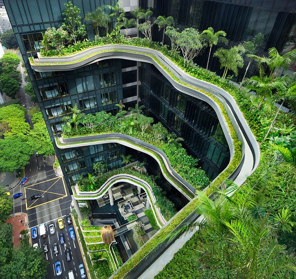 Отель-сад Parkroyal в Сингапуре4