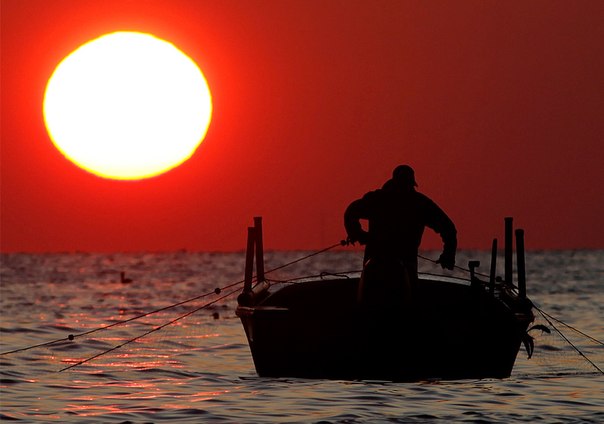 Рыбак закидывает сети в воды Чесапикского залива, Мэтьюз, штат Вирджиния, США. 