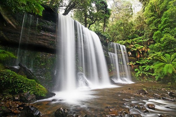 Водопад Расселла в национальном парке Маунт-Филд в Тасмании, Австралия