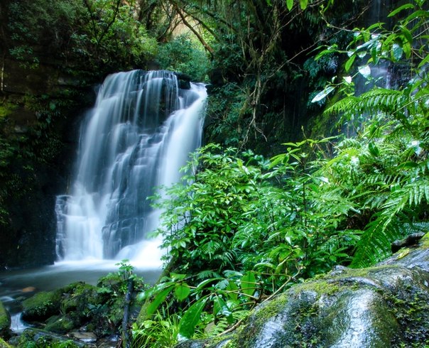 Водопад Matai, Новая Зеландия.