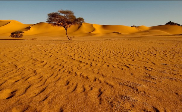 Пески Тадрарта, Алжир.