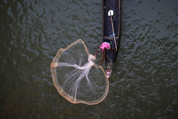 Рыбак забрасывает сеть в реку в округе Катака в 25 километрах от Бхубанешвара, Индия.