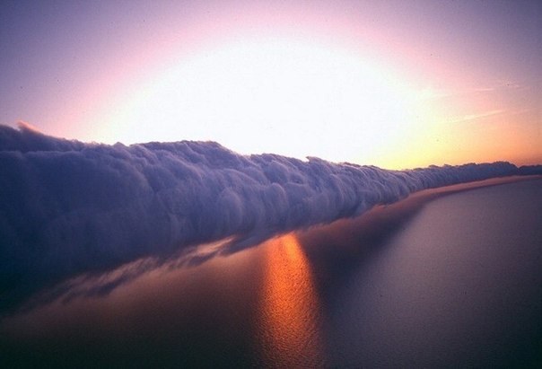 Утренняя глория — редкое метеорологическое явление, вид облаков, наблюдаемый ежегодно весной в на севере Австралии и реже в других местах