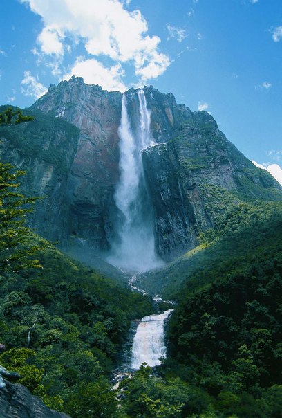 В тропических лесах Венесуэлы находится водопад Анхель - самый высокий в мире. Его общая высота настолько велика, что падающая вода распыляется, не успевая достичь земли! 