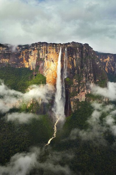 В тропических лесах Венесуэлы находится водопад Анхель - самый высокий в мире. Его общая высота настолько велика, что падающая вода распыляется, не успевая достичь земли! 
