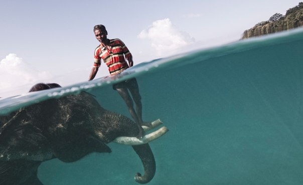 Назру, погонщик слонов, позирует фотографу во время купания своего слона Раджана на острове Хейвлок, Андаманы. 