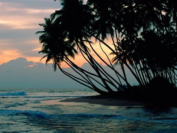 Пляж Colombo, Шри-Ланка.