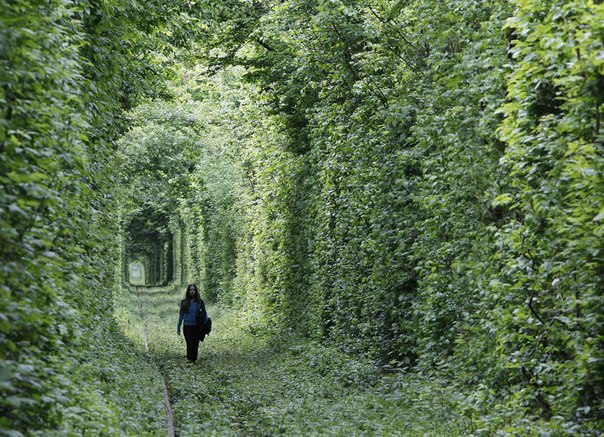 Девушка идет по заброшенной железной дороге, которая была названа местными жителя как «Туннель любви». Необычное фото сделано в небольшом городке Клевань, в 350 километрах от Киева, Украина.