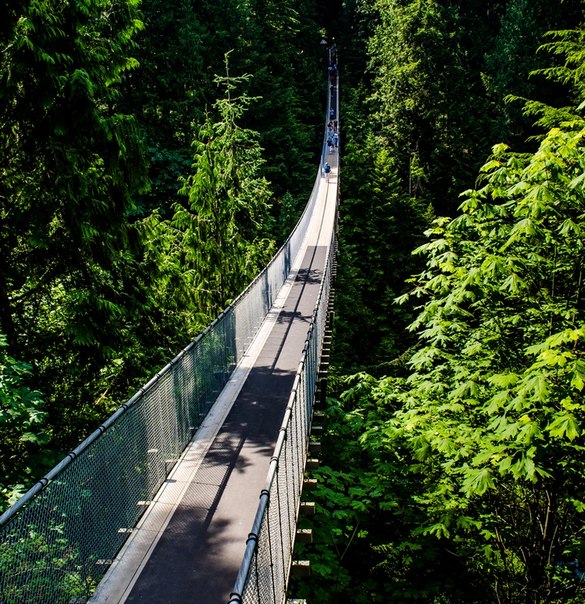 Подвесной мост Капилано является одной из самых запоминающихся и выдающихся достопримечательностей Ванкувера, Канада.
