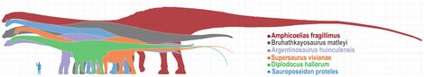 Самый крупный динозавр