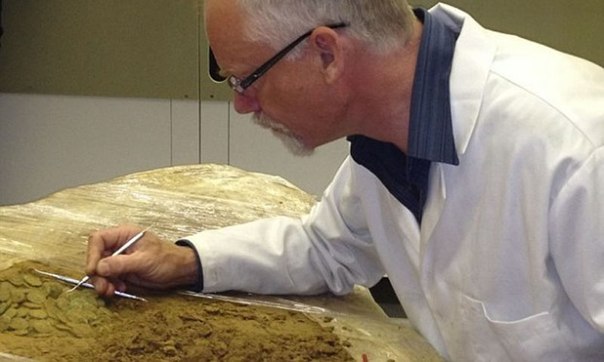 Двумя археологами-любителями на о.Джерси был обнаружен клад, самый крупный в истории. Общий вес десятков тысяч серебряных и золотых монет весит почти тонну и стоит примерно 16 млн. долларов!