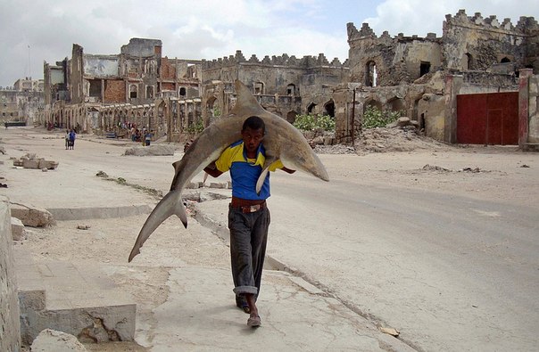 Человек с акулой на улице столицы Сомали — Могадишо.