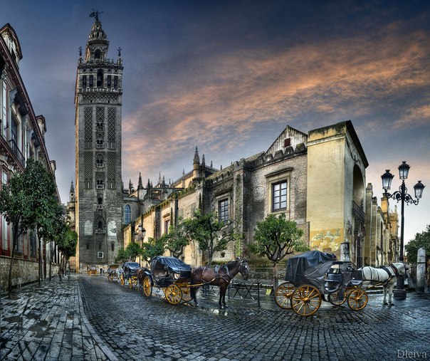 Севильский кафедральный собор или собор Мария-де-ла-Седе — собор в городе Севилья ( Андалусия, Испания), крупнейший готический собор в Европе.