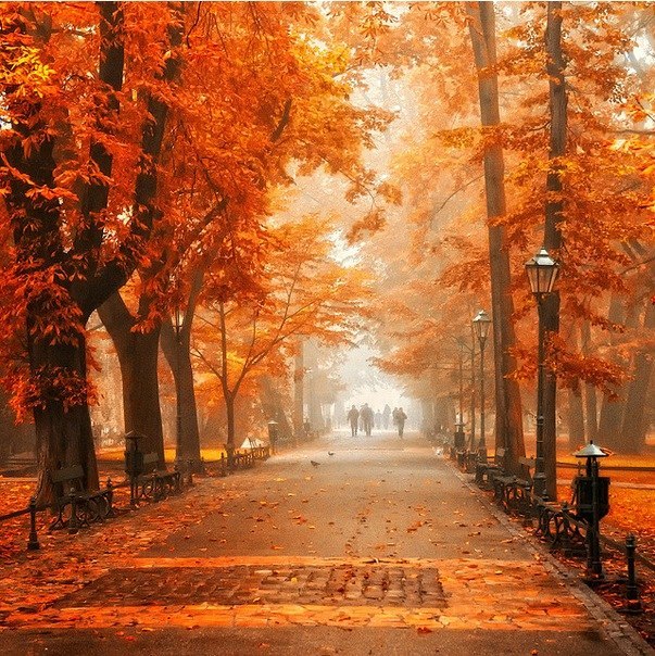 Осенний Краков, Польша.